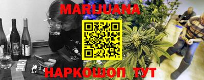 индика Кузнецк