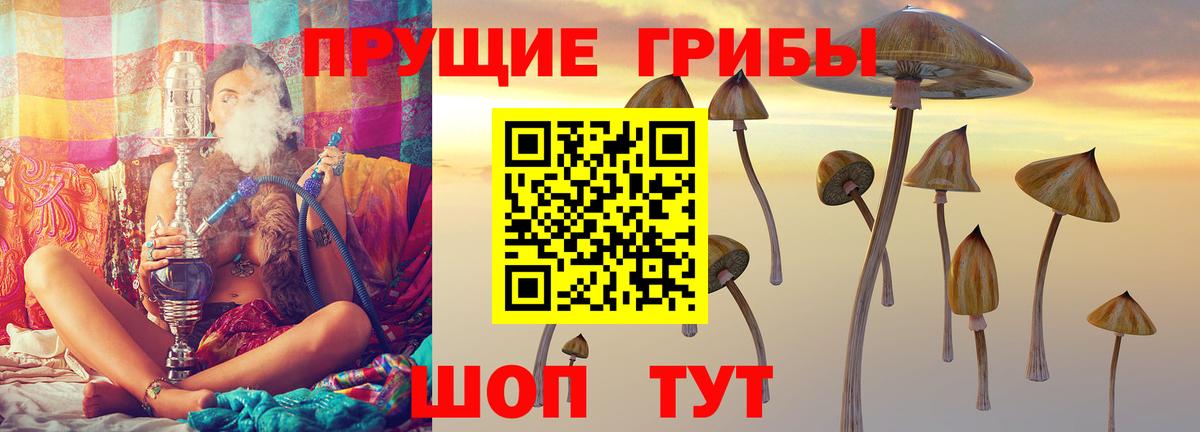 Гулькевичи  Галлюциногенные грибы Cubensis  купить закладку  Галлюциногенные грибы Psilocybine cubensis  Вход с VPN 
